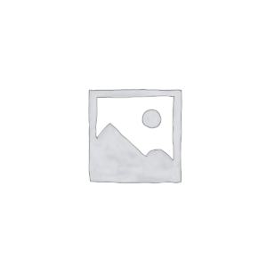 Web Designing